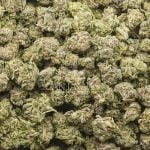Wholesale Popcorn - Cherry Lemonade - AAAA