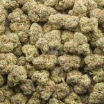 Wholesale - Banana Runtz - AAA