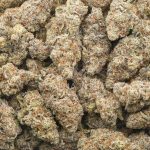 Bubba OG AAA - Indica - Image 3