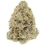Wholesale - G13 Widow - AAAA - Image 3