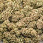 Wholesale - Master Hammer - AA