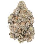 Peyote Purple AAA - Indica